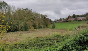 A Beaurieux, en contrebas du Clos de l’Orne, l’espace existe pour créer une zone humide inondable, et une promenade le long de la rivière, à côté de la roselière